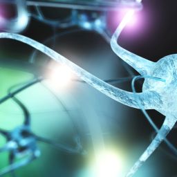 NIH BRAIN Initiative