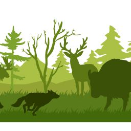 Grant Opportunities for Nonprofits, long term funding